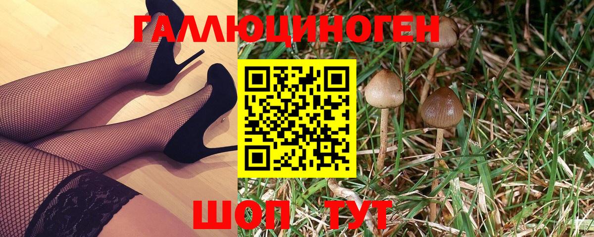 Псилоцибиновые грибы Psilocybine cubensis  Вход с VPN  Лесной  Псилоцибиновые грибы прущие грибы 