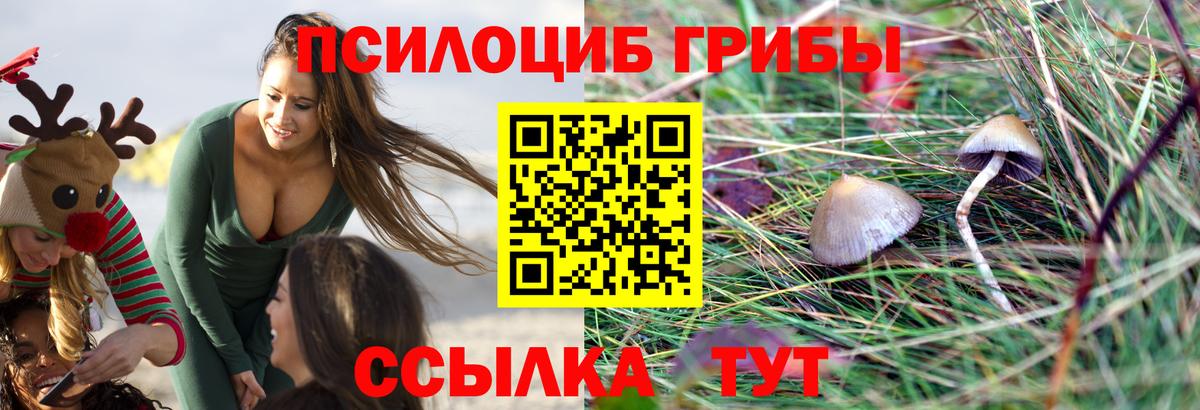 Псилоцибиновые грибы мухоморы Лесной